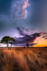Wierdense veld Dutch Landscape