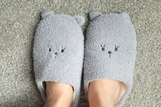 High Angle Shot Of A Person Wearing A Pair Of Cute Slippers On A Gray Carpet