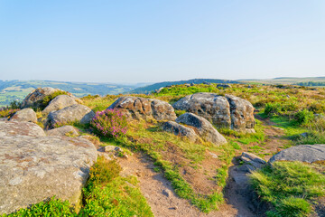 Hazy summer morning among the heather, gritstone and footpaths of Baslow Edge in Derbyshire