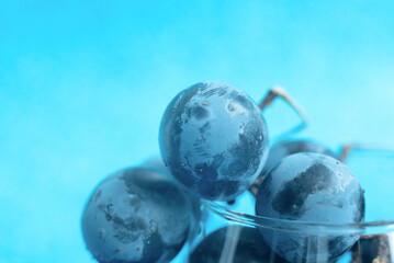 Bunch of black grapes in the glass on blue blurred background. Selective focus. Wine degustation, harvesting concepts. Wide banner for copy space.