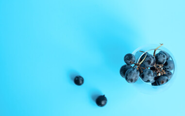 Bunch of black grapes in the glass on blue blurred background. Selective focus. Wine degustation, harvesting concepts. Wide banner for copy space.