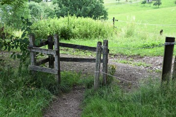 Zauntritt