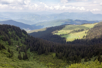 View of a small village in the valley of the mountains. Polonyna in the Carpathians, a wonderful summer landscape