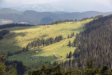 Fototapeta na wymiar View of a small village in the valley of the mountains. Polonyna in the Carpathians, a wonderful summer landscape