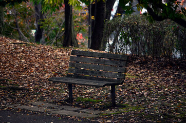 公園のベンチ
