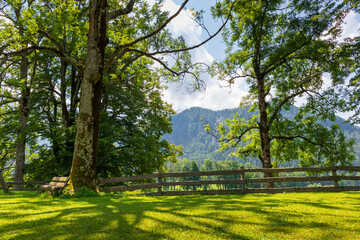 Obraz premium Kamnik-Savinja Alps at Plansar Lake in Jezersko, Slovenia
