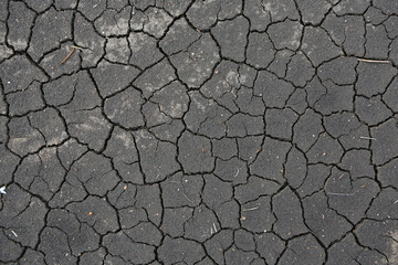 Crack earth and dry black soil. Drought on the ground