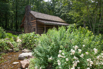 Old Log cabin with a garden