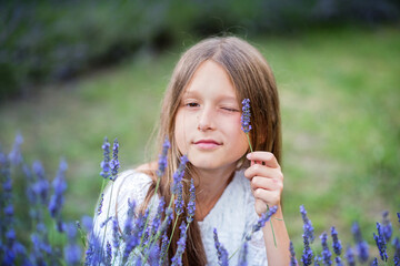 Beautiful girl with long hair at sunset in the park. Girl in the lavender field. The child walks in nature. Summer sunsets
