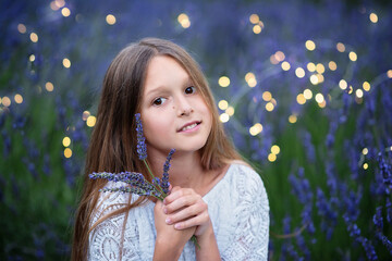 Beautiful girl with long hair at sunset in the park. Girl in the lavender field. The child walks in nature. Summer sunsets
