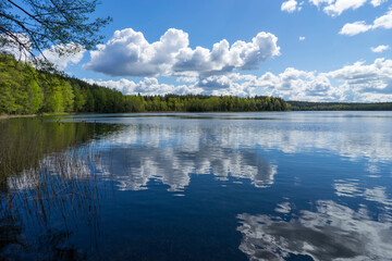 Ecological trail Blue Lakes in the area of Narochansky National Park, Belarus