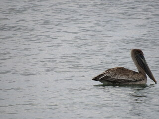 PUERTO MORELOS, MEXICO