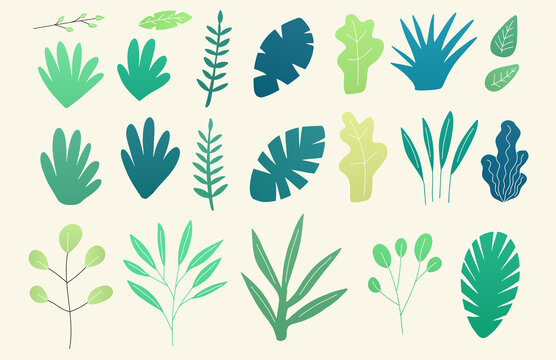 Vector set of flat illustrations of plants, trees, leaves, branches, bushes and floral icons. Flat cartoon vector illustration