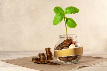 Glass jar with coins and a plant on the table and several coins nearby. The concept of finance and investment. Sticker for writing.