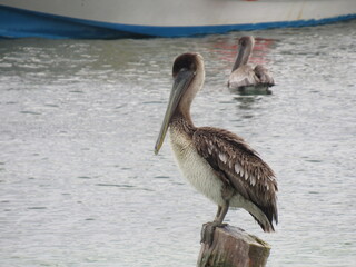 PUERTO MORELOS, MEXICO
