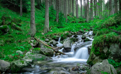 Small waterfall in the forest