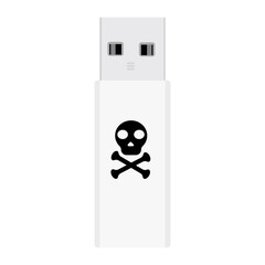 Computer virus on usb flash card