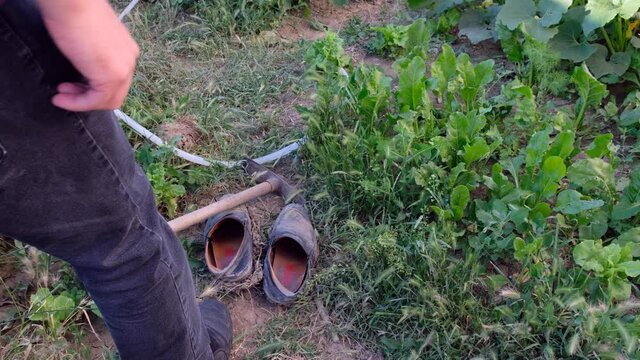 old muddy shoes and garden hoe in the hobby garden,