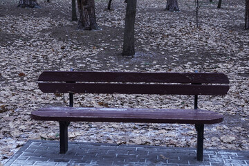 Bench in the winter park