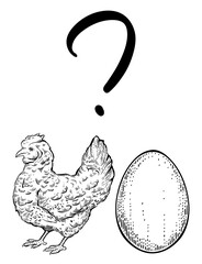 question who was first egg or chicken, hand drawn vector, engraving style