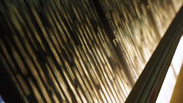 high-speed optical sorter sunflower seeds at factory.