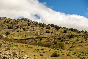 Landscape with far view of mountains on Saint James way, Camino de Levante from Toledo to Avila, Spain
