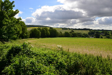 Fototapeta premium Farmlands and fields of England in summertime