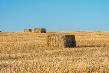 Fototapeta premium Rectangular haystack on a mowed field of wheat during sunset. Selective focus. 