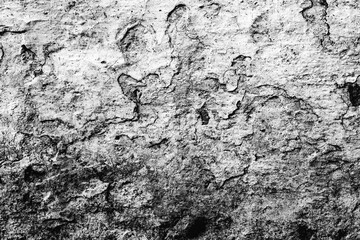 Texture of a concrete wall with cracks and scratches which can be used as a background