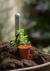hand spade in some fresh soil