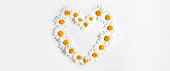 Heart made of daisy flowers. Daisies Symbol of family, love and fidelity. Banner