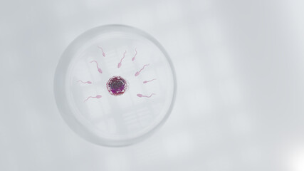 Sperm embryo and egg cell. Pregnancy semen with natural fertilization. 3d render.