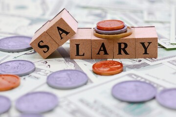 給料のイメージ　アメリカドル 