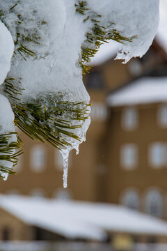 Carambano Photos Royalty Free Images Graphics Vectors Videos Adobe Stock