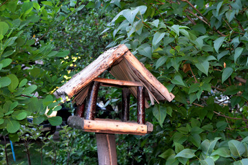 Fototapeta na wymiar Homemade bird feeder in the spring garden.