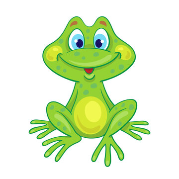 A little cute green frog is sitting. In cartoon style. Isolated on white background. Vector illustration.