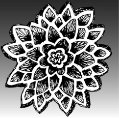 Vector illustration of hand drawn black & white lace background.