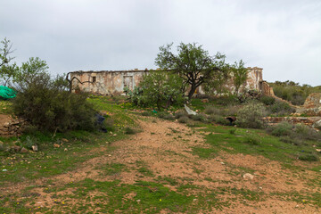 old farmhouse in the middle of an almond field