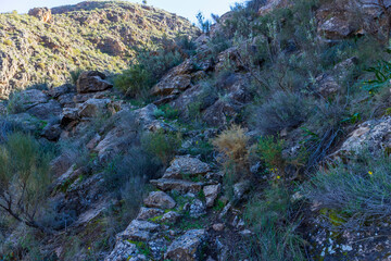 old cobblestone road on the mountainside