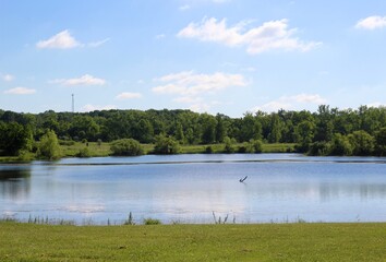 A beautiful sunny day at the lake in the countryside.