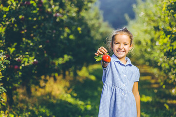 Garden food concept. Child weared in nice blue dress, gives you an apple, grinnig happily.