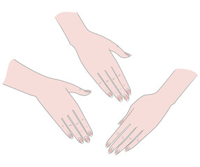 Gestures. Palm Woman's hand on the back. Vector. Isolated on a white background.