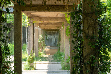 Fototapeta na wymiar the lower part of the concrete bridge across the underground garden