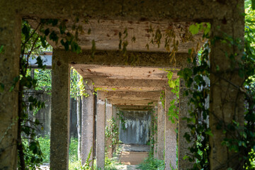 Fototapeta na wymiar the lower part of the concrete bridge across the underground garden