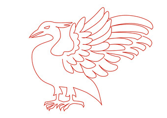 vector illustration of a liver bird