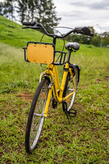 The yellow bicycles in the park