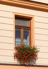 Fototapeta na wymiar Window with flowers. Cesky Krumlov, Czech republic