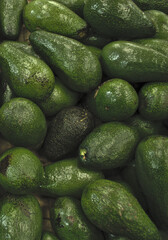 Fresh green avocados on the market