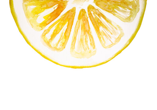 Watercolor drawing of half of lemon isolated on the white background. Illustration of yellow lemon .