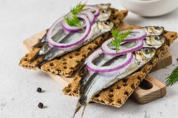 Sardine toasts with onion, lemon and dill. Selective  focus, space for text.